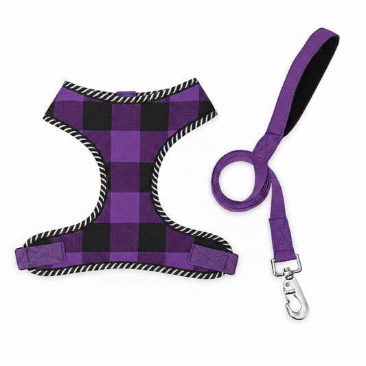 Dog Mesh Harness & Leash Set – Breathable, Lightweight & Comfortable