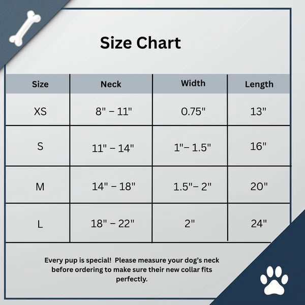 Durable Nylon Collar and Leash Set