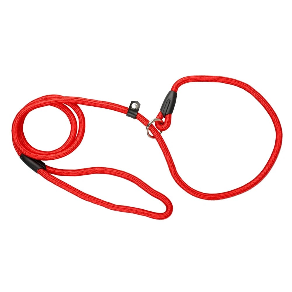 Nylon Rope Dog Leash – Durable & Lightweight