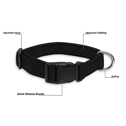 Comfit Fit Nylon Collar Set-6