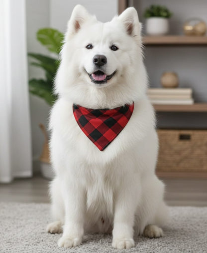 Heritage Plaid Bandanna Collar