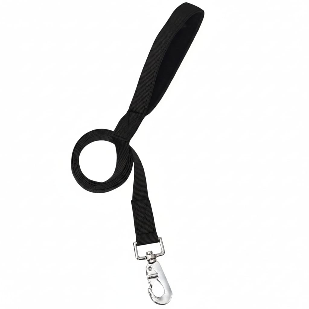 Nylon Dog Leash with Padded Handle – Durable & Comfortable