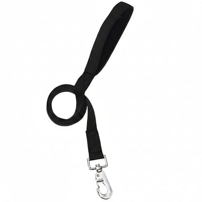 Nylon Dog Leash with Padded Handle – Durable & Comfortable