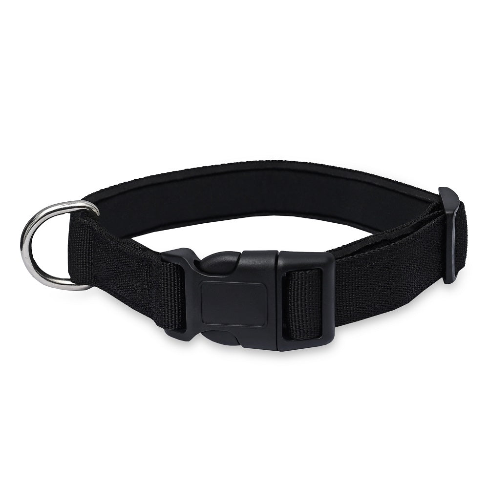 Padded Nylon Dog Collar – Lightweight, Comfortable & Adjustable