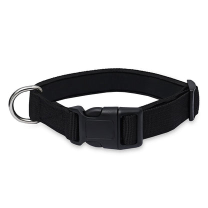 Padded Nylon Dog Collar – Lightweight, Comfortable & Adjustable