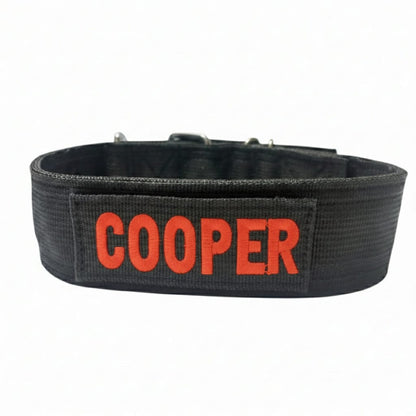 Heavy-Duty Nylon Dog Collar with Custom Name Velcro Patch – Durable & Secure