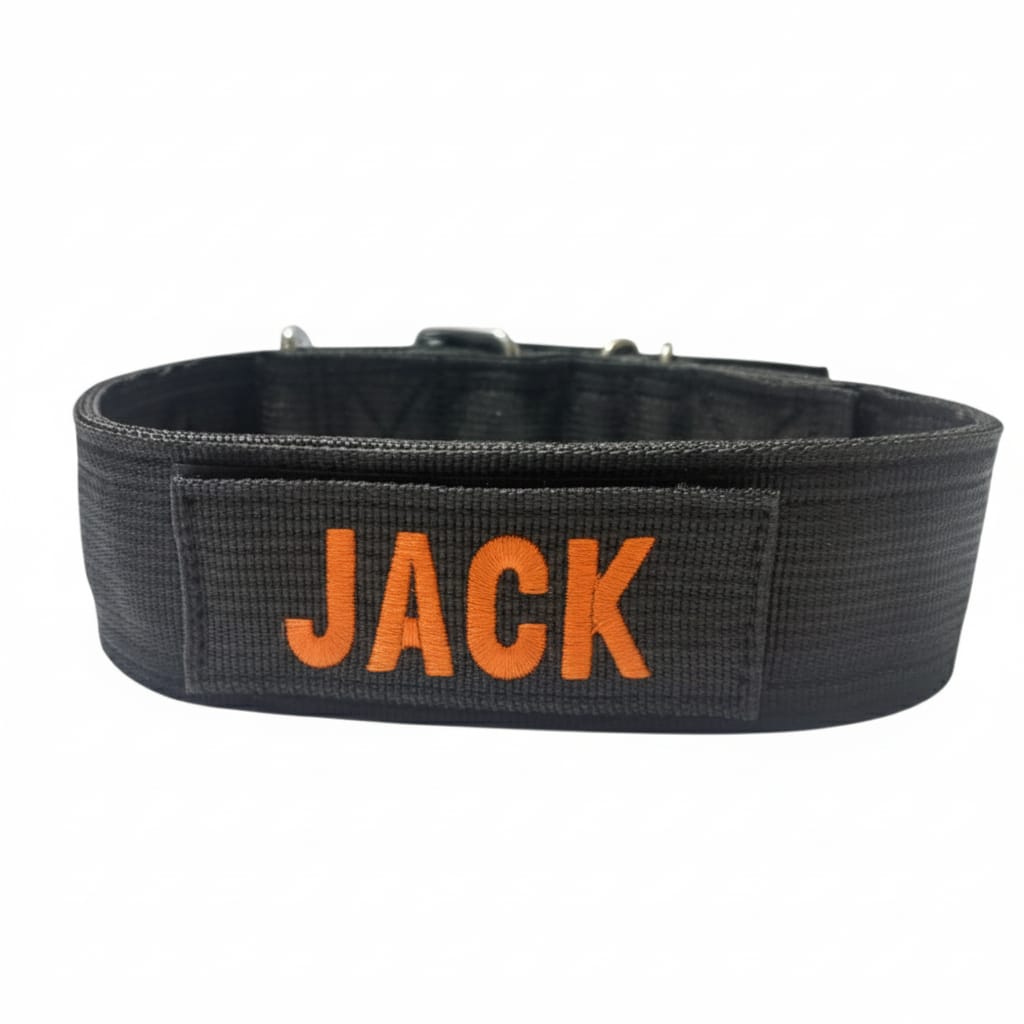Heavy-Duty Nylon Dog Collar with Custom Name Velcro Patch – Durable & Secure