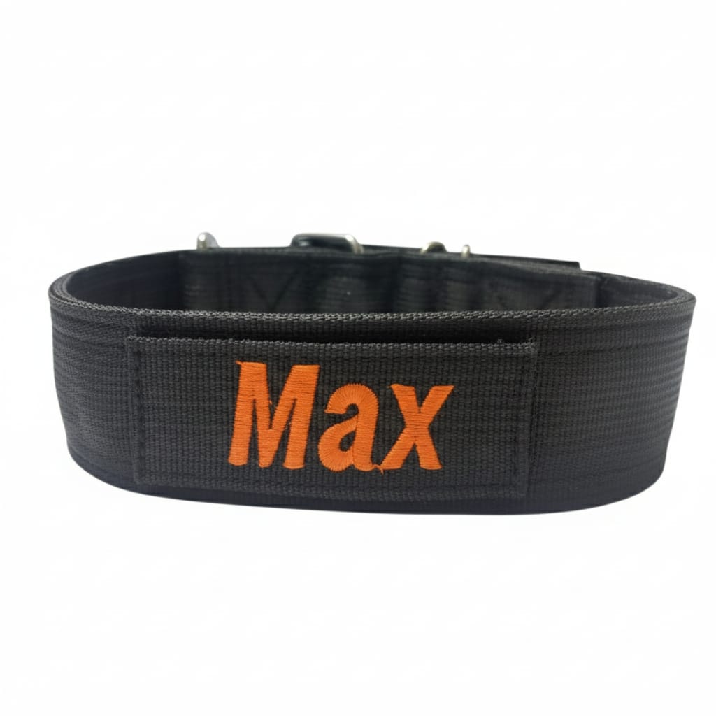 Heavy-Duty Nylon Dog Collar with Custom Name Velcro Patch – Durable & Secure