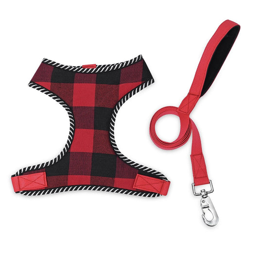 Mesh Harness & Lead Set