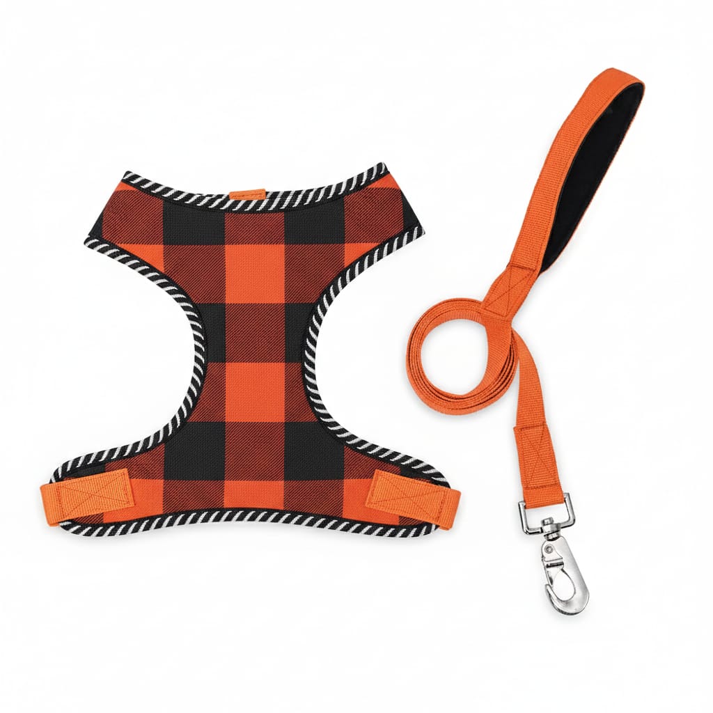 Dog Mesh Harness & Leash Set – Breathable, Lightweight & Comfortable