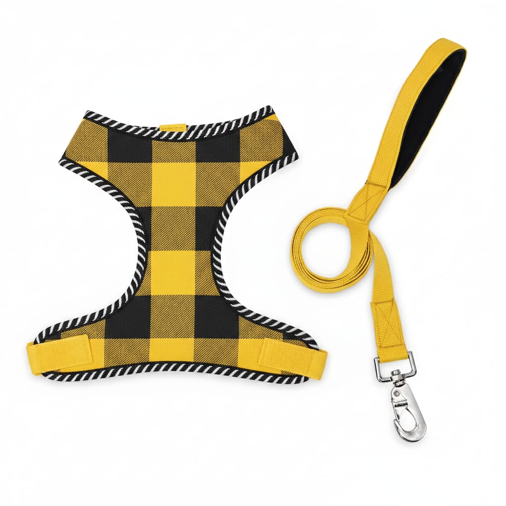 Dog Mesh Harness & Leash Set – Breathable, Lightweight & Comfortable