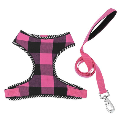 Mesh Harness & Lead Set