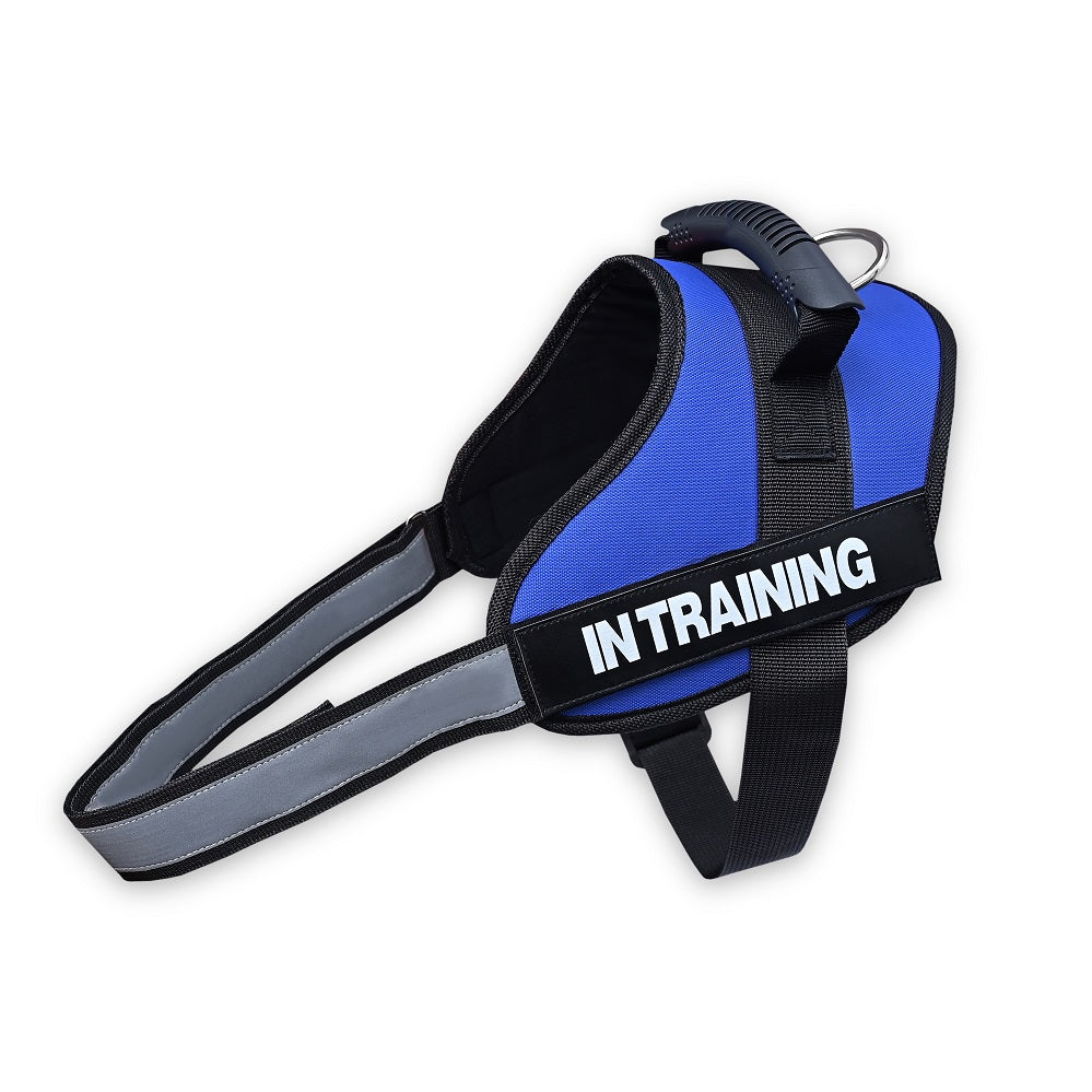 No-Pull Dog Harness with Customizable Velcro Patch