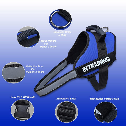 No-Pull Harness-Customizable Patch