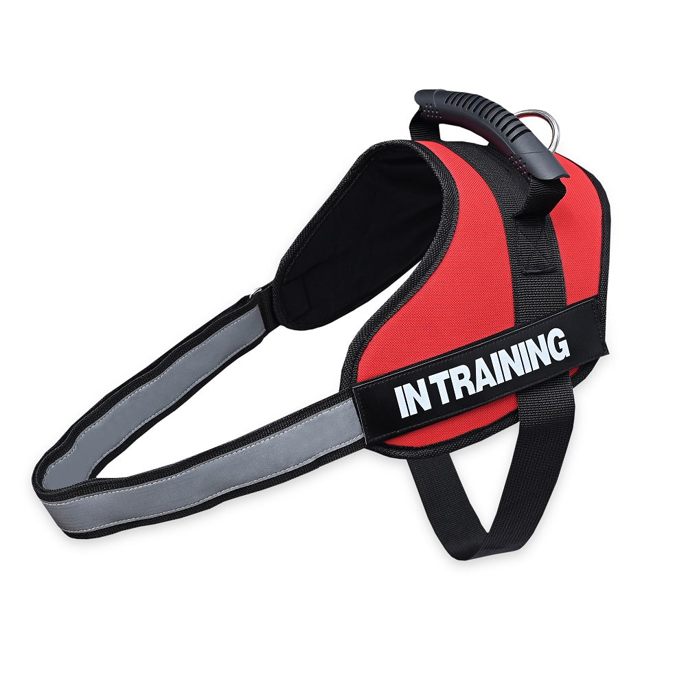 No-Pull Dog Harness with Customizable Velcro Patch