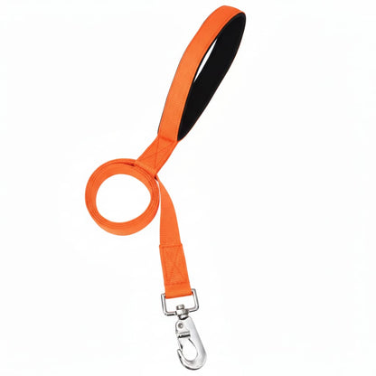 Nylon Dog Leash with Padded Handle – Durable & Comfortable