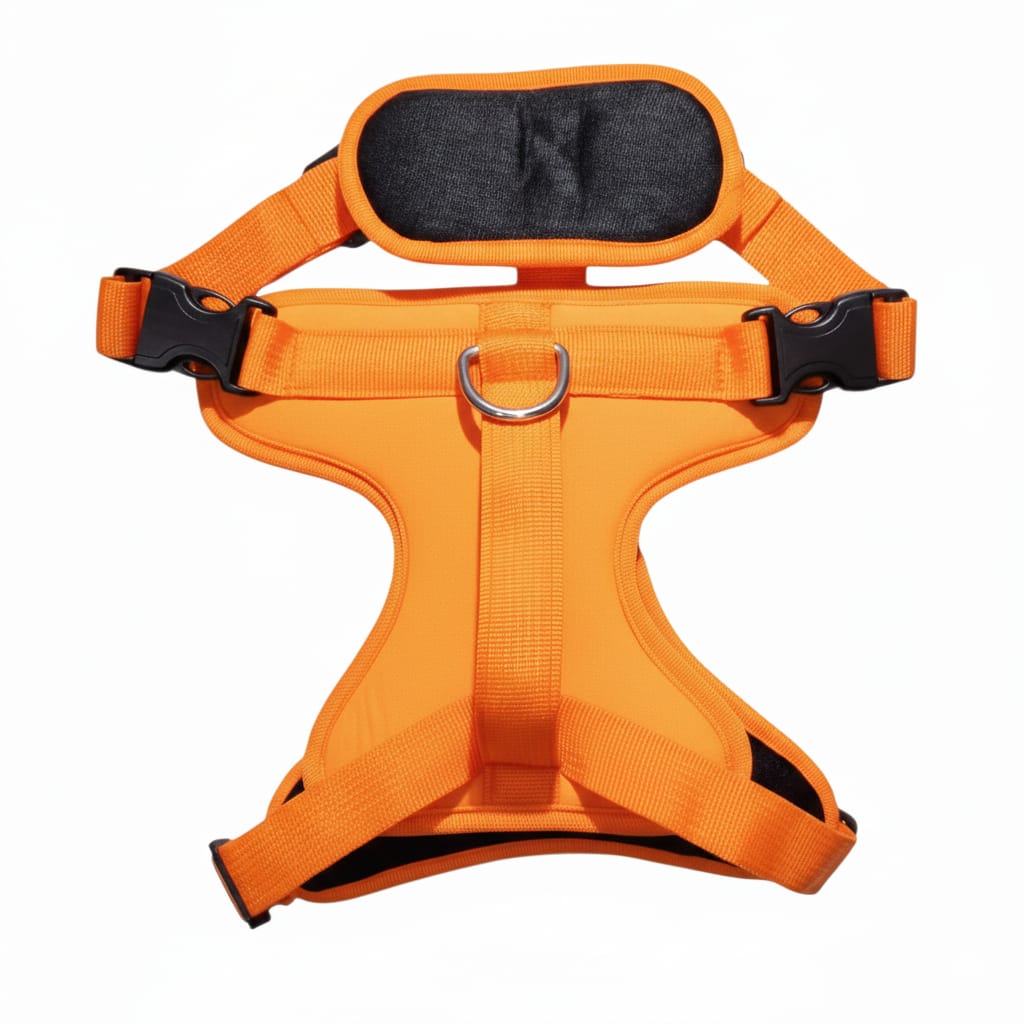 Reflective Chest Puppy Harness