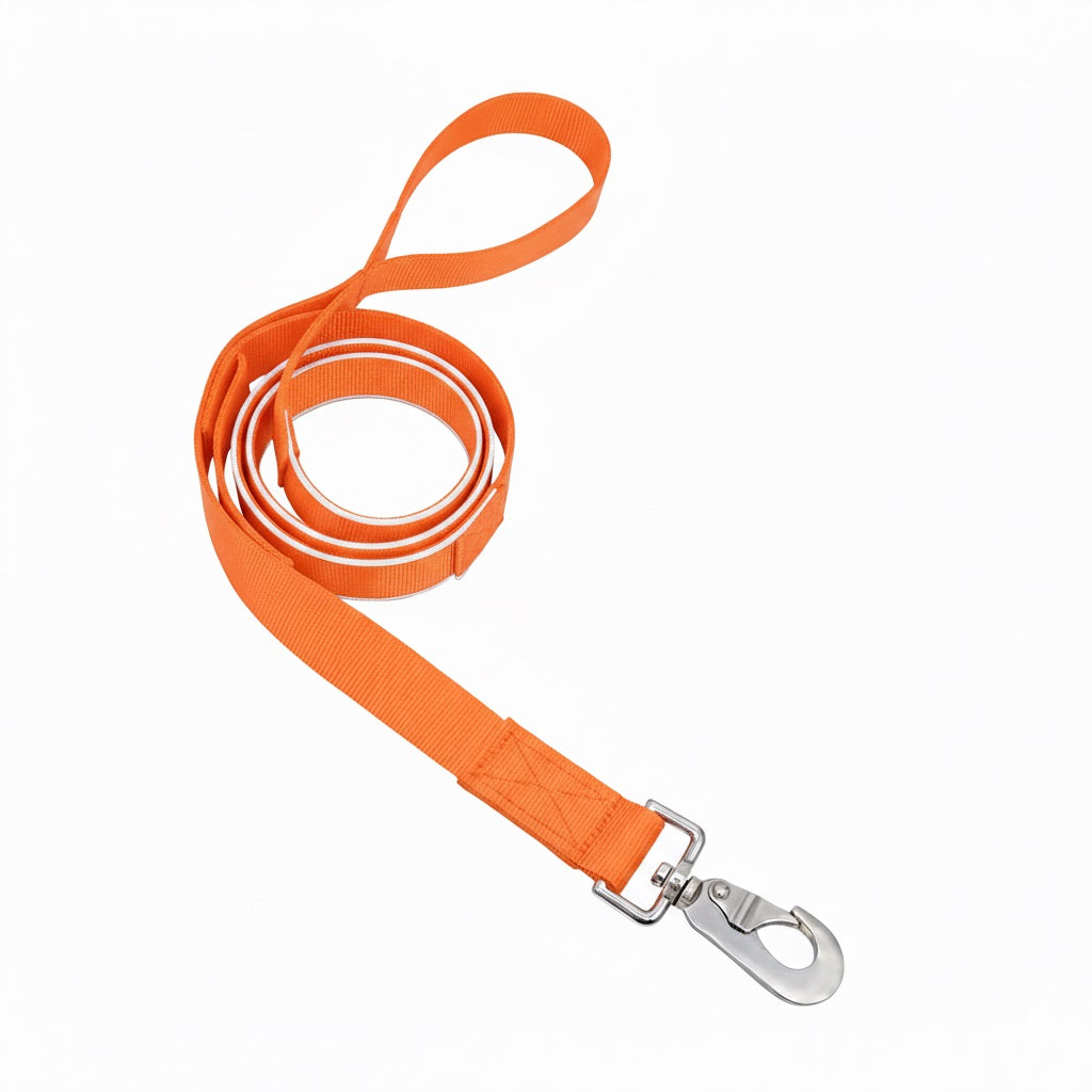 Reflective Dog Leash – High Visibility for Night Walks