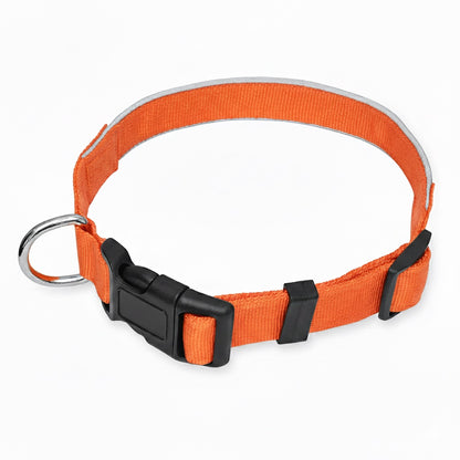 Reflective Dog Collar – Adjustable, Lightweight & Safe for Night Walks