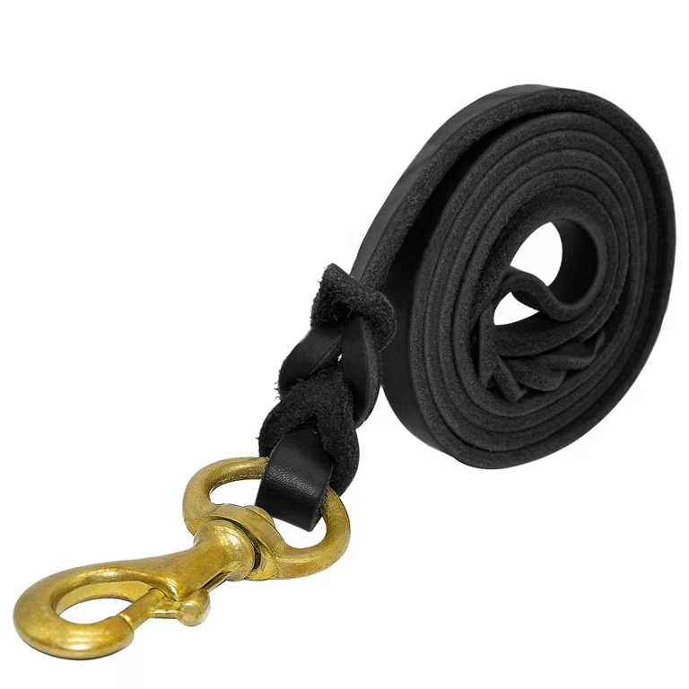 Braided Leather Dog Leash with Solid Brass Hook
