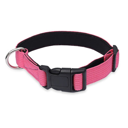 Padded Nylon Dog Collar – Lightweight, Comfortable & Adjustable