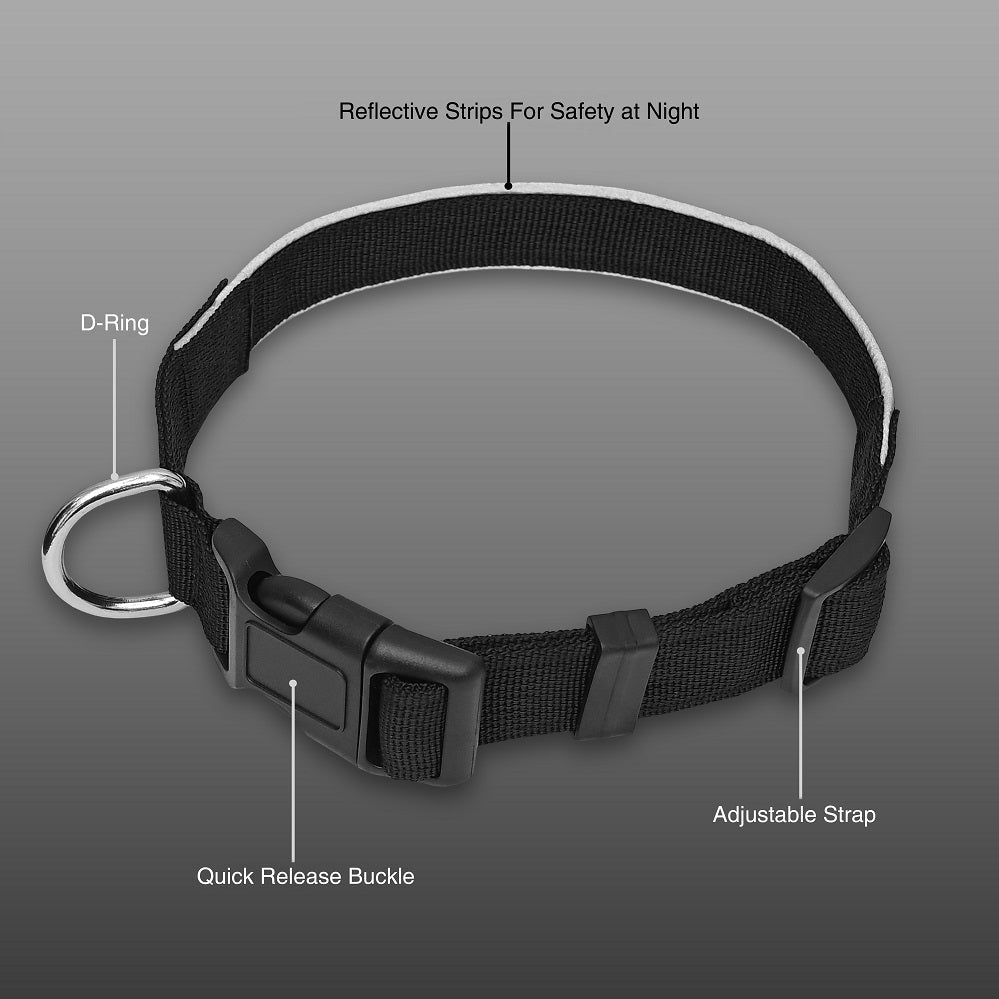 Reflective Dog Collar – Adjustable, Lightweight & Safe for Night Walks