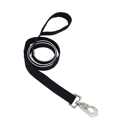 Reflective Dog Leash – High Visibility for Night Walks