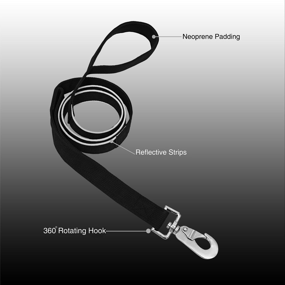Reflective Dog Leash – High Visibility for Night Walks