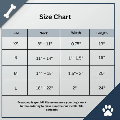 Durable Nylon Collar and Leash Set