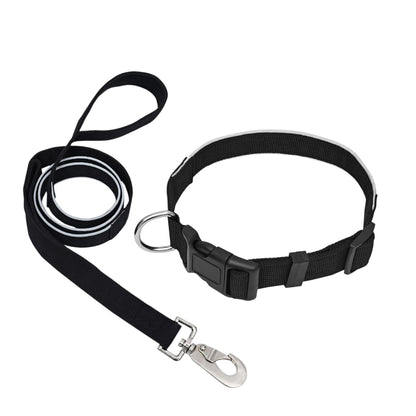 SafeStep Collar & Leash Set