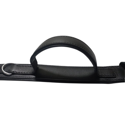 Padded Leather Dog Training Collar with Handle – Strong, Comfortable & Secure