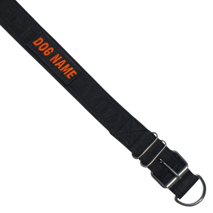 Heavy-Duty Nylon Dog Collar with Custom Name Velcro Patch – Durable & Secure