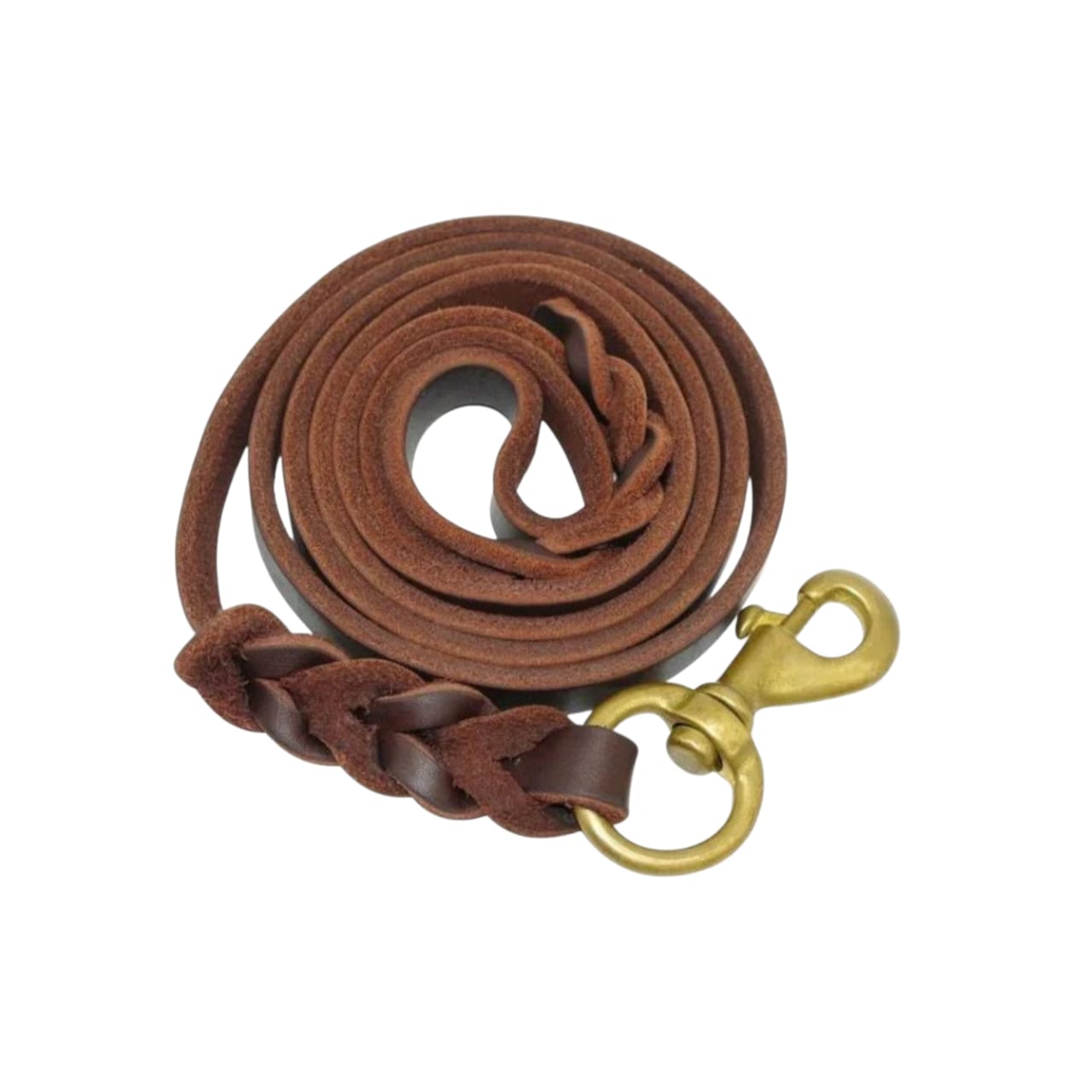 Braided Leather Dog Leash with Solid Brass Hook