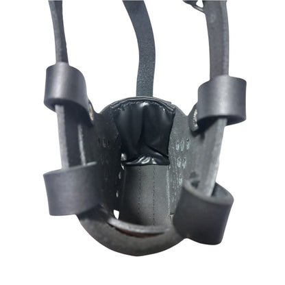 Premium Leather Padded Dog Muzzle