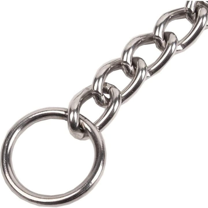 Stainless Steel Choke Chain Dog Training Collar
