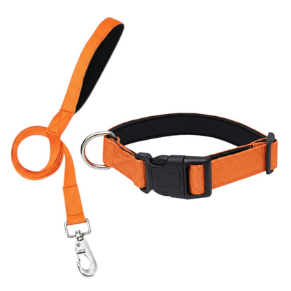 Durable Nylon Collar and Leash Set