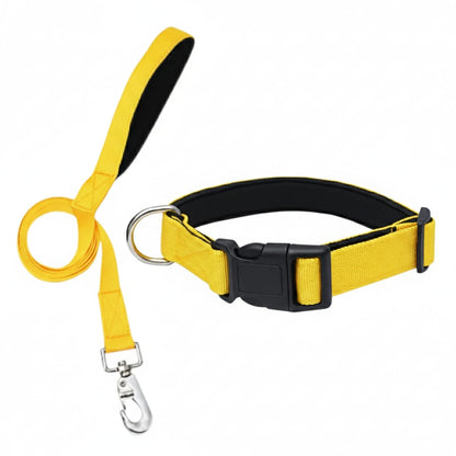 Durable Nylon Collar and Leash Set