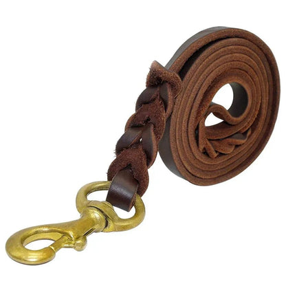 Braided Leather Dog Leash with Solid Brass Hook