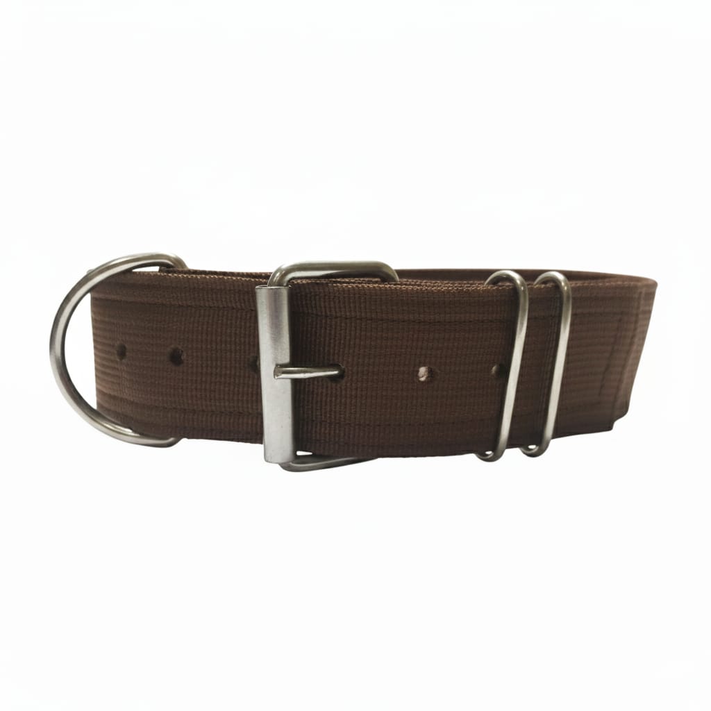 Heavy-Duty Nylon Dog Collar with Custom Name Velcro Patch – Durable & Secure