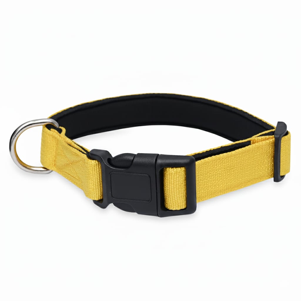 Padded Nylon Dog Collar – Lightweight, Comfortable & Adjustable