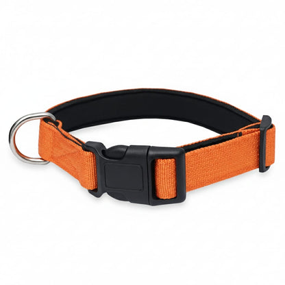 Padded Nylon Dog Collar – Lightweight, Comfortable & Adjustable