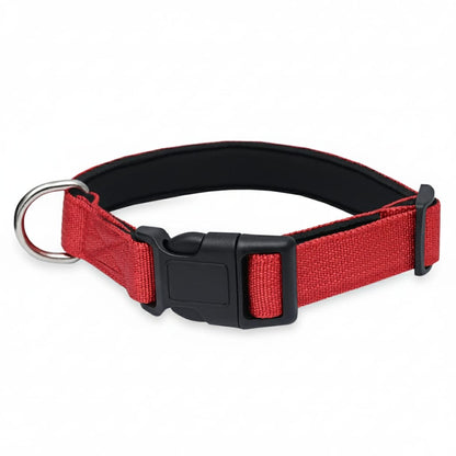 Padded Nylon Dog Collar – Lightweight, Comfortable & Adjustable