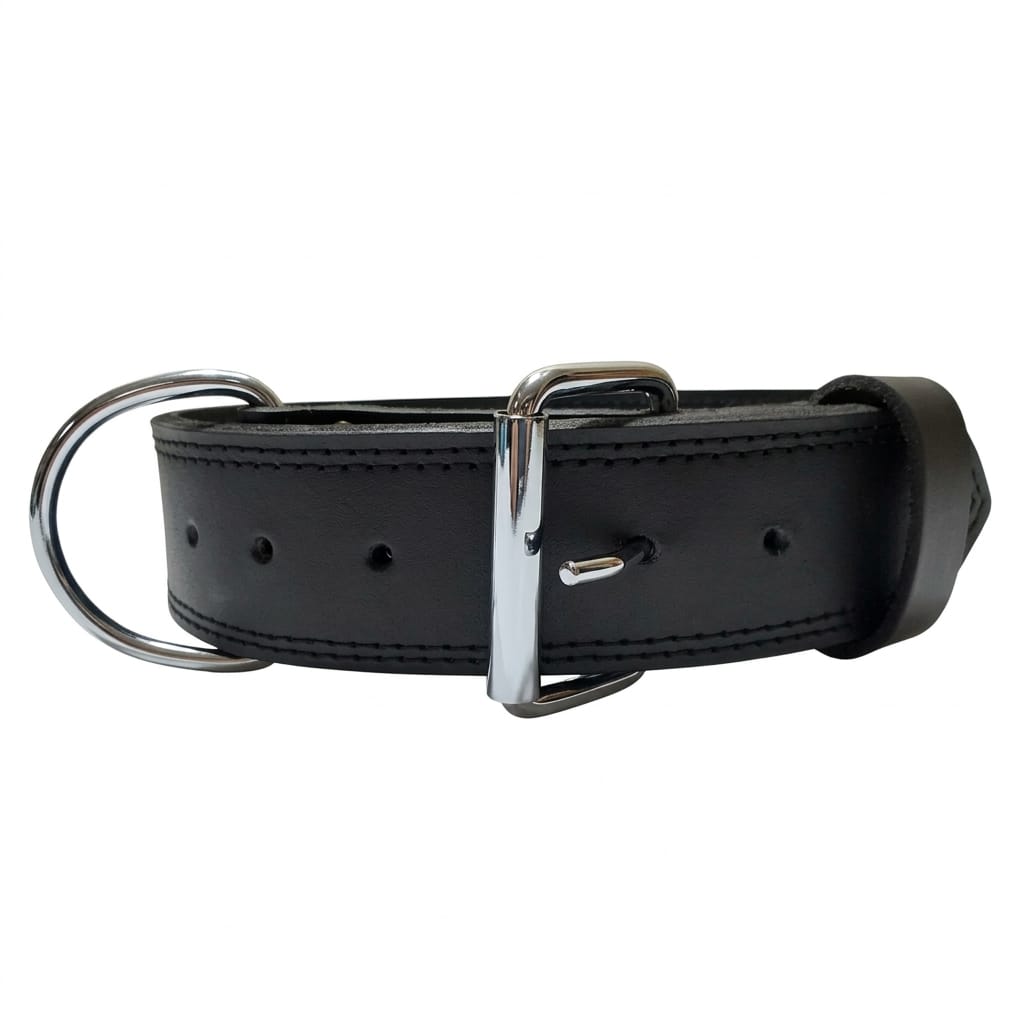 Heavy-Duty Leather Dog Training Collar – Strong, Comfortable & Built to Last