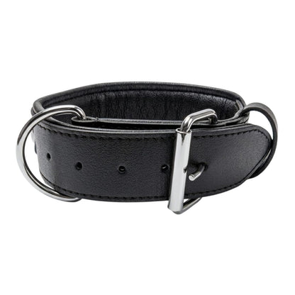 Padded Leather Dog Training Collar with Handle – Strong, Comfortable & Secure