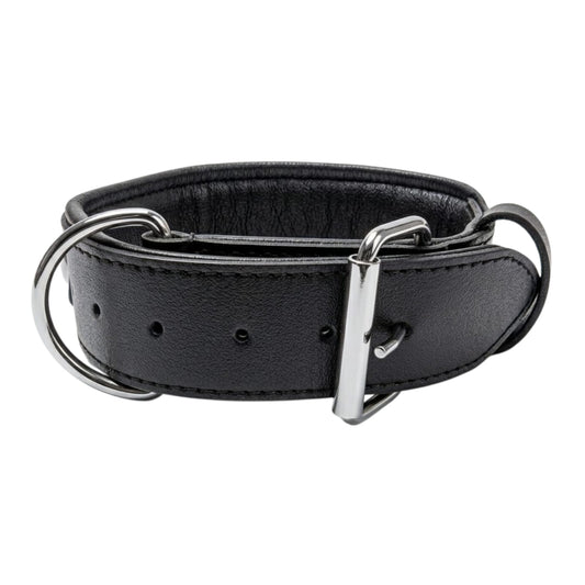 Padded Leather Dog Training Collar with Handle – Strong, Comfortable & Secure