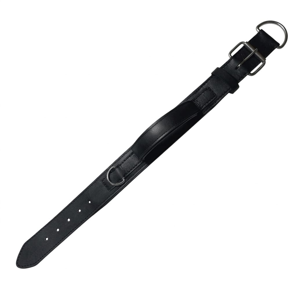 Padded Leather Dog Training Collar with Handle – Strong, Comfortable & Secure