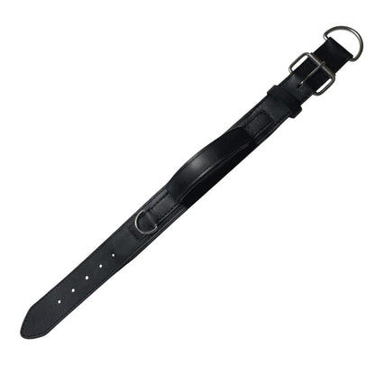 Padded Leather Dog Training Collar with Handle – Strong, Comfortable & Secure