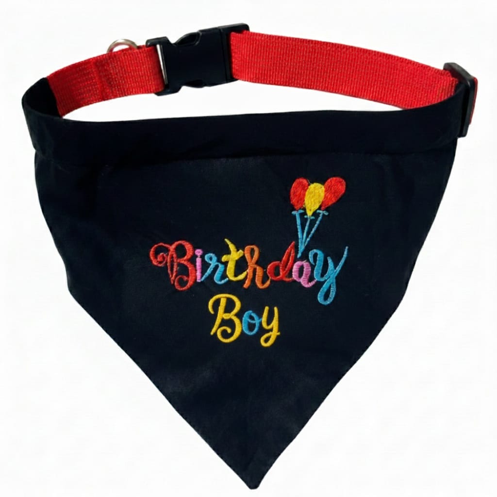 Birthday Star Bandanna Collar