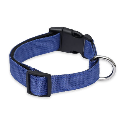 Padded Nylon Dog Collar – Lightweight, Comfortable & Adjustable