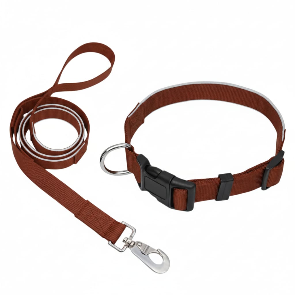 SafeStep Collar & Leash Set